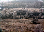 Природні краєвиди Чорнобильської зони