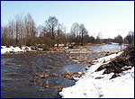 Uz river in exclusion zone of Chernobyl