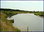 річка Уж в чорнобильському Поліссі