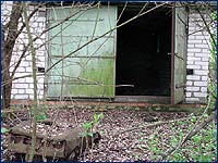 Старые Шепеличи история брошенного села в Чернобыльской зоне отчуждения