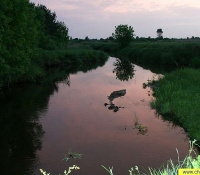 Илья - вид небольшой реки в зоне отчуждения