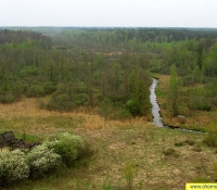 Илья - вид небольшой реки в зоне отчуждения
