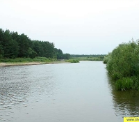 Река Уж