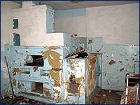 Села чорнобильської зони вічуження Старі Шепеличі історія забутого людьми села
