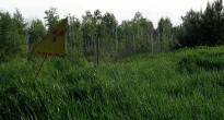 Рыжий лес: Обоснование необходимости ликвидации радиационно-пораженного леса возле ЧАЭС