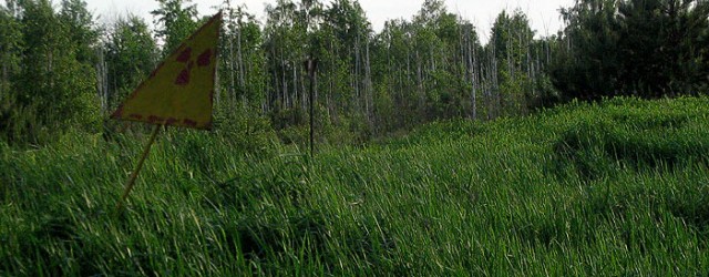 Рыжий лес: Обоснование необходимости ликвидации радиационно-пораженного леса возле ЧАЭС