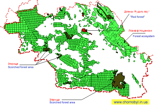 Пожежі в чорнобилі та зоні відчуження карта