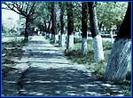 Вид улицы Советской в 1993 году. Автор фото - А.Беседин
