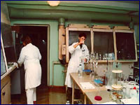 Робота в лабораторії в 1996 році