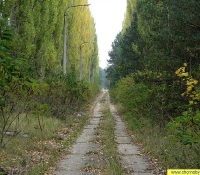 Чернобыль-2: фото дорога к объекту