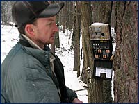 Автоматическая камера в Чернобыльском лесу