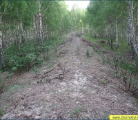 Рыжий лес - траншея