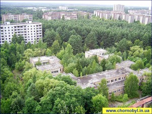 Припятские пейзажи 