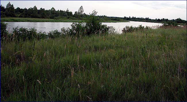 Фото - река Уж