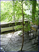 Bilding in Pripyat city