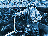 Hothouse in the Pripyat city after accident on Chernobyl Nuclear Power Plant