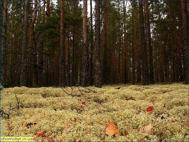 Природа заповедника