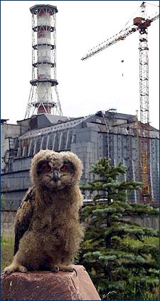филин