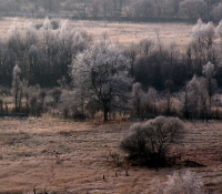 Фото: современный вид зона отчуждения