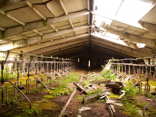 Ферма Новошепеличи