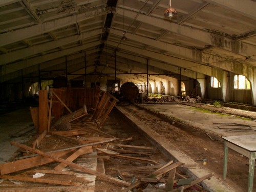 Новошепеличи