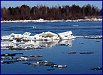 Pripyat river not far from Chernobyl