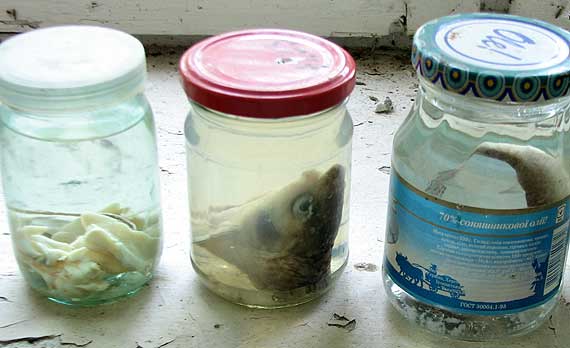 Лаборатория возле ЧАЭС