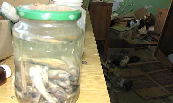 хранилище проб