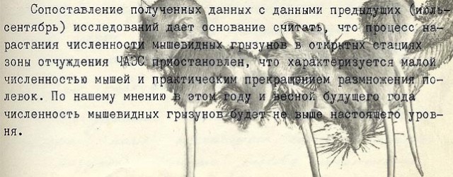 gryzun-chernobyl-chaes