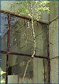 Pripyat town after nuclear accident