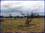 Photo chernobyl zone
