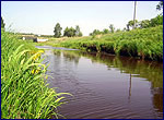 Views of flood-land Illia river in Chernobyl zone