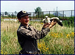 Bird photo