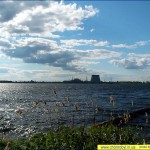 priroda-chernobyl