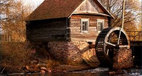 полесский заповедник