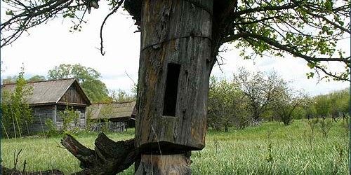 chernobyl-zone-landscape