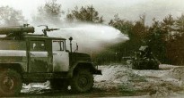 Фотографии мертвый лес