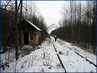 Толстый Лес