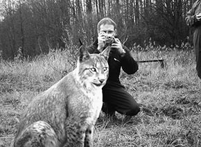 в дикой природе 2013 год