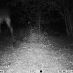 PIC-39