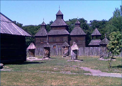 Борть в музее Пирогово