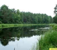 Река Уж