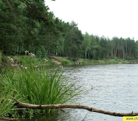 Река Уж
