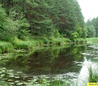 Река Уж
