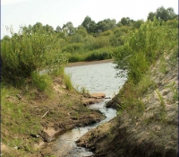 Река Уж