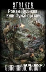 обложка книги связанные зоной тумановский